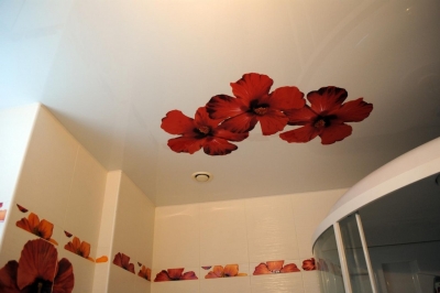 Натяжные потолки в ванной комнате_12